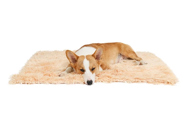 PV Pet Throw Blanket